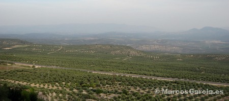 Baeza - Jaén