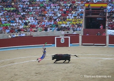 Toros en Pontevedra 2008