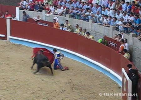 Toros en Pontevedra 2008