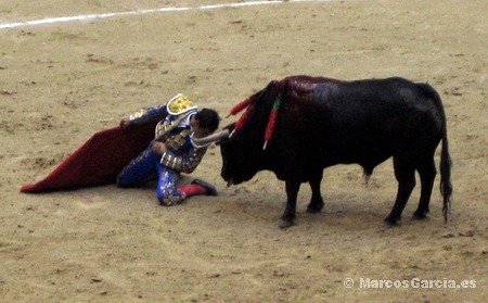 Toros en Pontevedra 2008