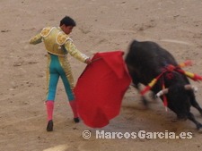 Toros en Pontevedra 2008