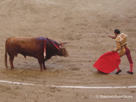 Finito de Córdoba - Toros Pontevedra 2008