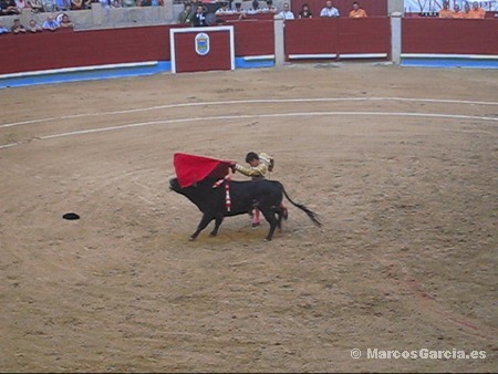 José Tomás - Toros Pontevedra 2008