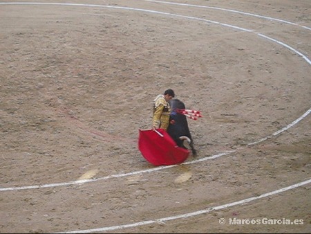 José Tomás - Toros Pontevedra 2008