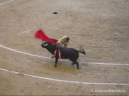 José Tomás - Toros Pontevedra 2008