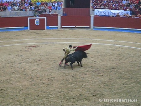 José Tomás - Toros Pontevedra 2008