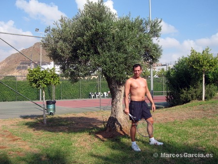 Tenis en Mojácar - Hotel Marina Playa