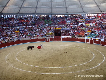 Toros en Pontevedra 2008