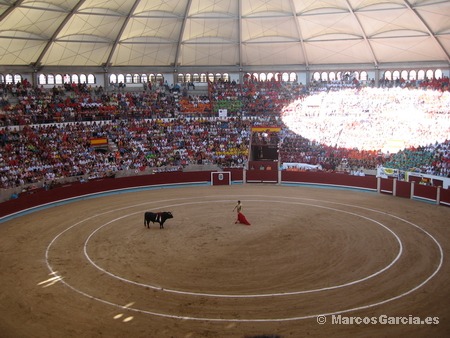 Toros Pontevedra 2008