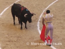 Toros Pontevedra 2008