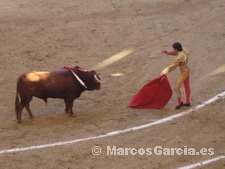 Toros Pontevedra 2008