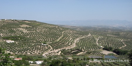 Úbeda - Jaén